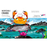 Curious Kids: Sea And Shore