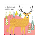 Animal Families: Forest