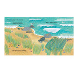 National Trust: Who’s Hiding At The Seaside?