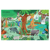 First Sticker Book - Planet Earth