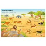 First Sticker Book - Wild Animals