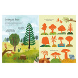 First Sticker Book - Trees