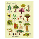 First Sticker Book - Trees