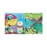 Look Inside: Animal Homes