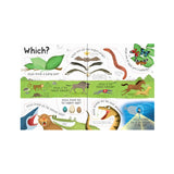 Questions and Answers: Animals