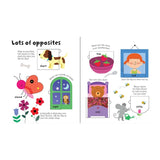 Lift-the-flap Opposites