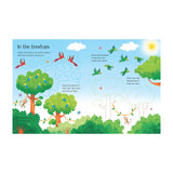 Wipe-Clean Jungle Activities