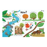 Questions and Answers: Nature