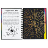 Scratch And Sketch Bugs