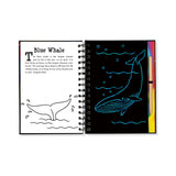 Scratch And Sketch Under The Sea