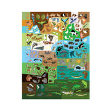 555 Sticker Fun Animals