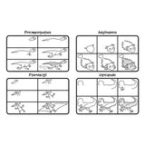 How To Draw 101 Dinosaurs