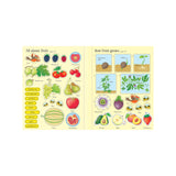 First Sticker Book Fruit And Vegetables