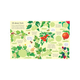 First Sticker Book Fruit And Vegetables