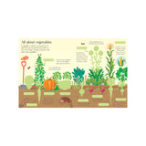 First Sticker Book Fruit And Vegetables