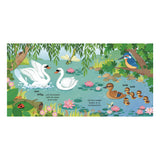 Bird Sounds Sounds Books