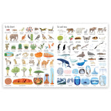 1000 Things in Nature