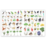 1000 Things in Nature