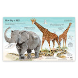 Big Book of Animals
