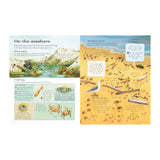 Usborne Outdoor Book