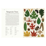 Botanicum