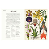 Botanicum