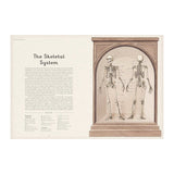Anatomicum