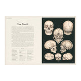 Anatomicum