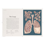 Anatomicum