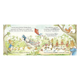 Peter Rabbit Tales A Spring Surprise