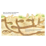 Find Out About ... Animal Homes