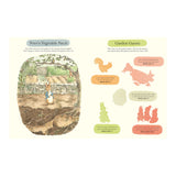 Peter Rabbit Hop, Skip, Stick Sticker Activity