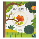 Magic Wheels: What A Surprise!