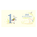 Peter Rabbit 123 A Counting Book