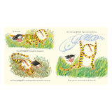 Tiger Lily
