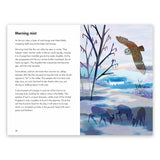 What to Look For in Winter