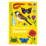 What to Look For in Summer