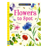 Minis Flowers To Spot