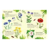 Minis Flowers To Spot