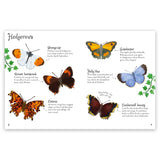 Minis Butterflies To Spot