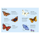 Minis Butterflies To Spot