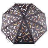 Floss & Rock Renk Değiştiren Şemsiye | Raining Cats & Dogs