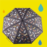 Floss & Rock Renk Değiştiren Şemsiye | Raining Cats & Dogs