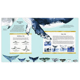 The Secret Life of Whales