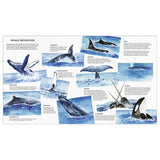 The Secret Life of Whales