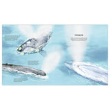 The Secret Life of Whales