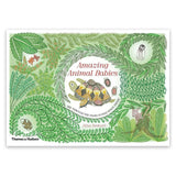 Amazing Animal Babies