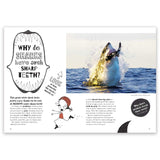 Why Don't Fish Drown?