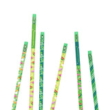 Ooly Juicy Karpuz Kokulu 6’lı Kurşun Kalem