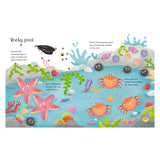 Wipe-Clean Seashore Activities